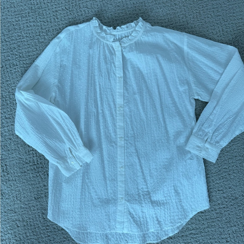 Zara White Ruffle Neck Swiss-Dot Blouse